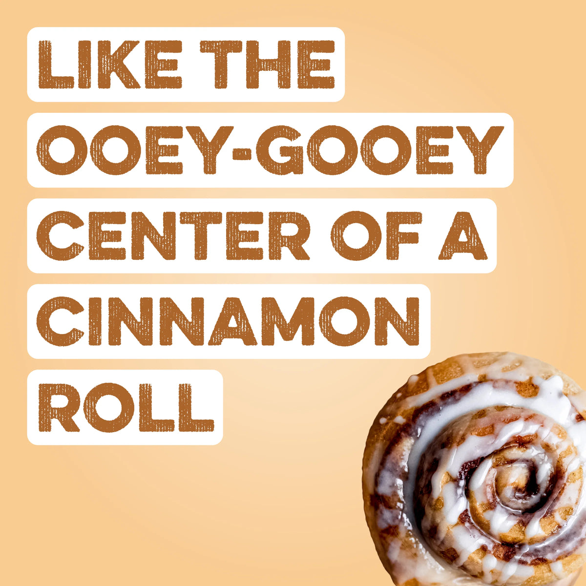 Protein Powder: Cinnamon Roll