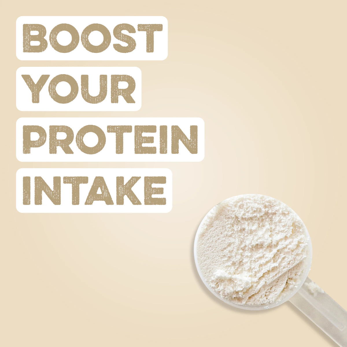 Protein Powder: Unflavored
