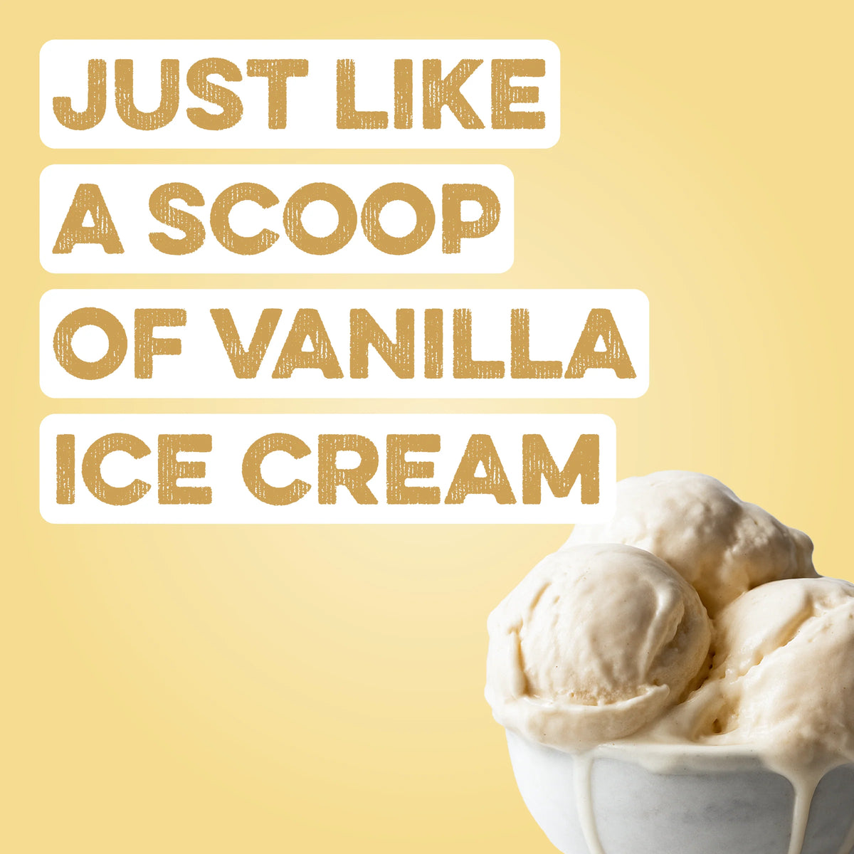 Protein Powder: Simply Vanilla