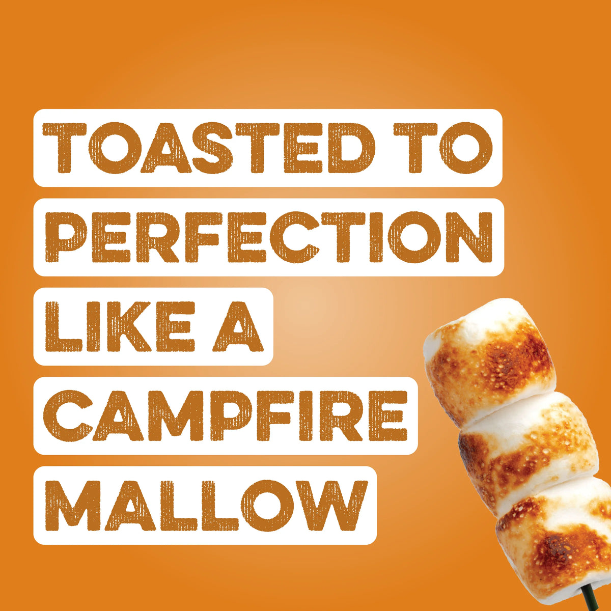Protein Powder: Toasted Marshmallow