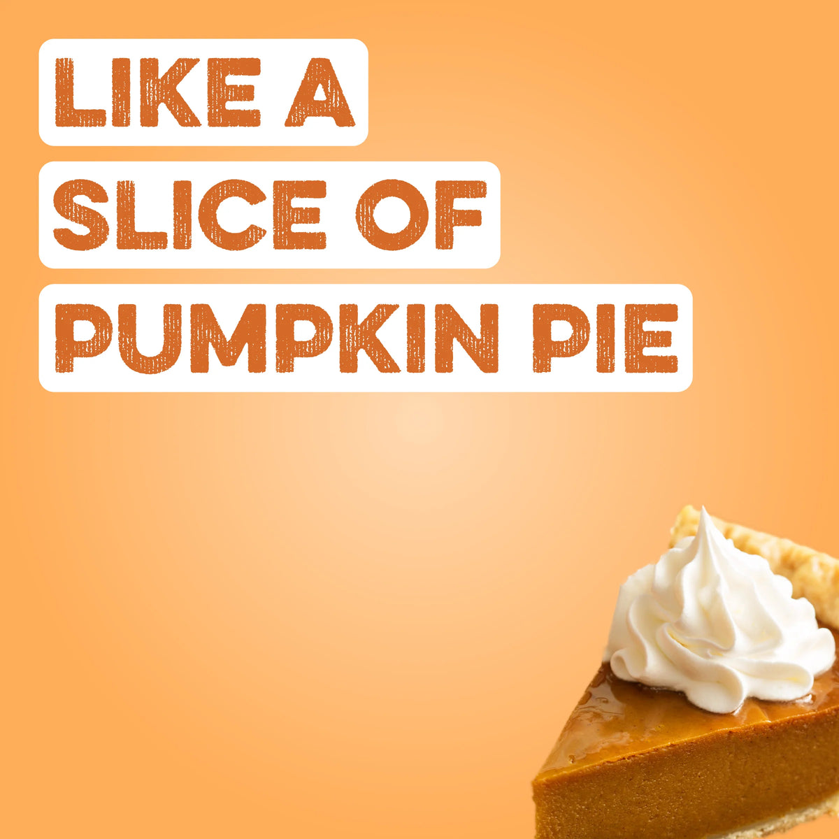 Protein Powder: Pumpkin Pie